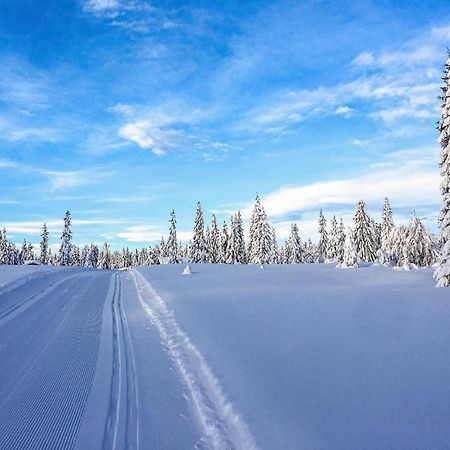 Sjusjoen Fjellstue Leil Nr 201 Apartamento Exterior foto